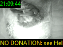 21:09:44