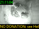 21:11:04