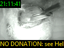 21:11:41