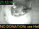 21:12:16