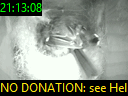 21:13:08