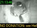 21:13:46