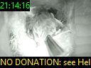 21:14:16