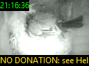 21:16:36