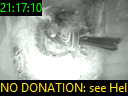 21:17:10