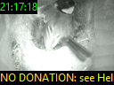 21:17:18