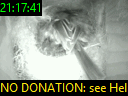 21:17:41