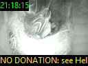 21:18:15