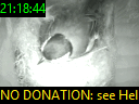 21:18:44