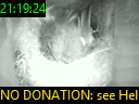 21:19:24