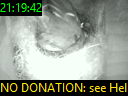 21:19:42