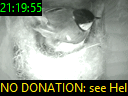 21:19:55