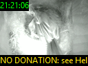 21:21:06
