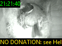 21:21:40