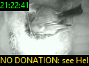 21:22:41