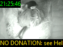 21:25:46