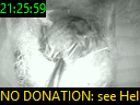 21:25:59