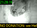 21:28:19