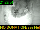 21:28:54