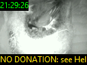 21:29:26