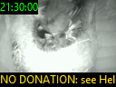 21:30:00