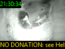21:30:34