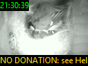 21:30:39