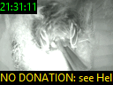 21:31:11