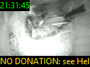 21:31:45
