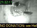 21:32:17