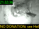 21:32:36