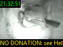 21:32:51