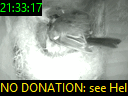 21:33:17