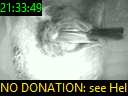 21:33:49
