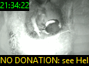 21:34:22