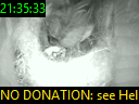 21:35:33