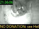 21:36:06