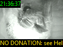 21:36:37