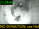 21:39:40