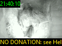 21:40:10