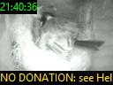 21:40:36