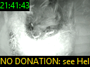 21:41:43