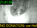 21:41:58