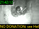 21:42:12