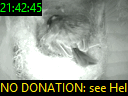 21:42:45