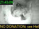 21:43:09