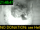21:48:47