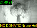 21:49:21