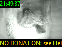 21:49:37
