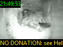 21:49:53